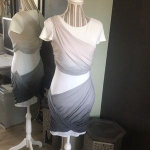 🛑 1 hour sale. Alice + Olivia grey/white ombre bodycon goddess